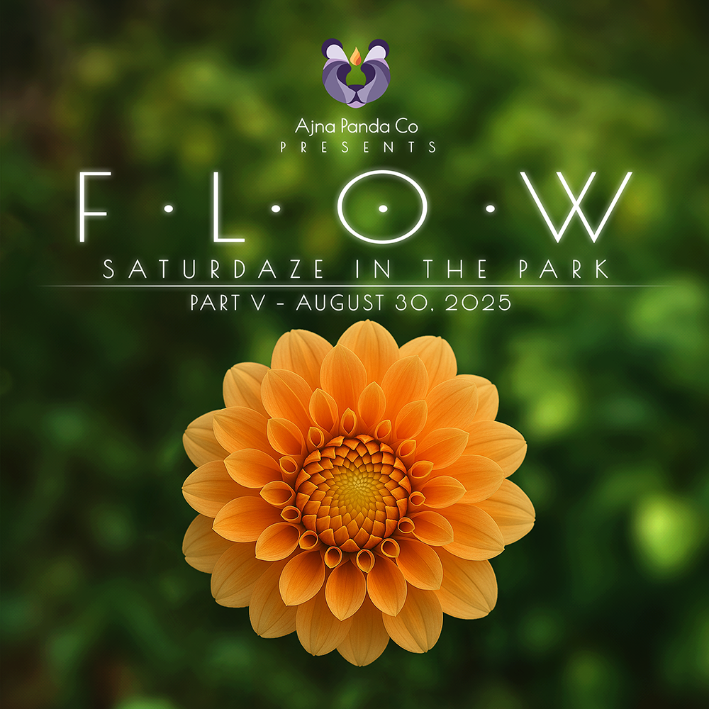 FLOW 2025 - Part V